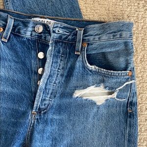 Agolde Denim Pant